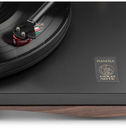 Gold Note Pianosa Turntable