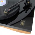 Gold Note Giglio Turntable