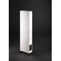 Scansonic HD M40 Floorstanding Speakers