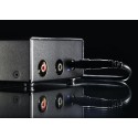 Lehmannaudio Black Cube Statement Phono Stage