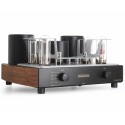 MastersounD Evolution 845 Integrated Power Amplifier