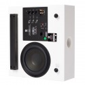 DLS Audio Flatsub Midi Subwoofer