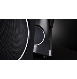 Estelon Extreme Limited Edition Floorstanding Speakers