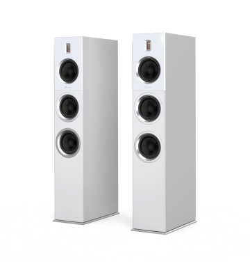 Burmester B28 Floorstanding Speakers