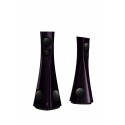 Estelon Forza Floorstanding Speakers