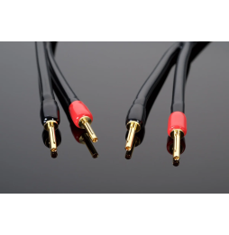 Transparent Wave Speaker Cable