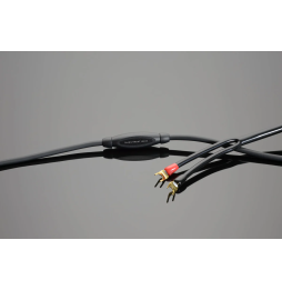 Transparent Wave Speaker Cable