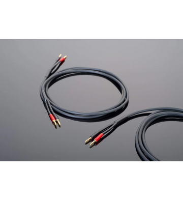 Transparent Hardwired Speaker Cable