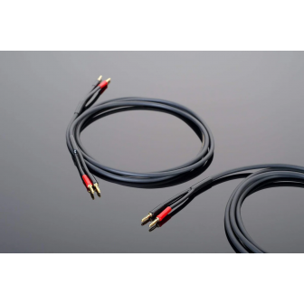 Transparent Hardwired Speaker Cable