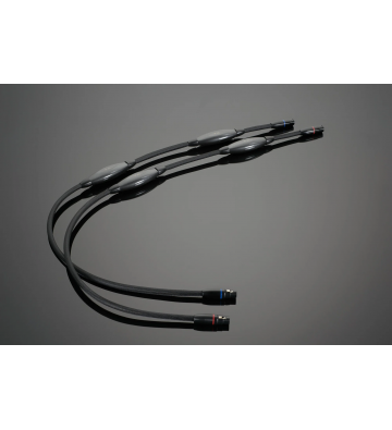 Transparent XL XLR Interconnect