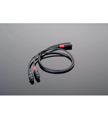 Transparent Hardwired XLR Interconnect