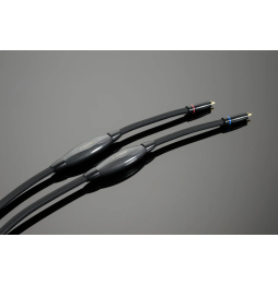 Transparent Reference RCA Interconnect