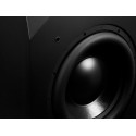 Emotiva Airmotiv S10 10" Subwoofer