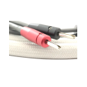 DIVINI AUDIO Trans 3/2 Speaker Cable