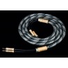 Divini Audio Trans 5/2 Speaker Cable