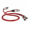 QED Reference XLR 40 XLR Cable